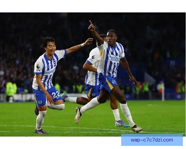 三笘薰维尔贝克领衔布莱顿对樱桃